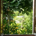 Bed & Breakfast Al Mutpron Casale Corte Cerro