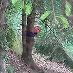 Al Mutpron Oda ve Kahvaltı Casale Corte Cerro