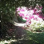Al Mutpron Casale Corte Cerro