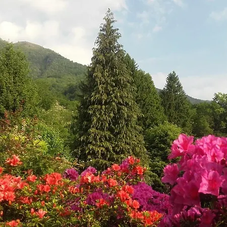 Al Mutpron Frühstückspension 3*