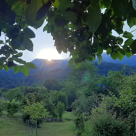 Al Mutpron Frühstückspension 3*