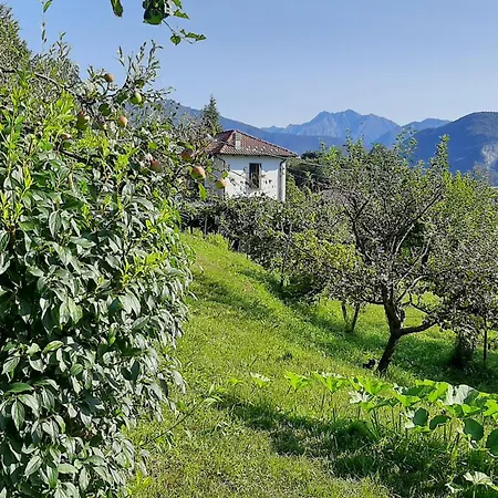 Al Mutpron Casale Corte Cerro