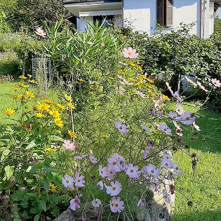 Al Mutpron Frühstückspension 3*