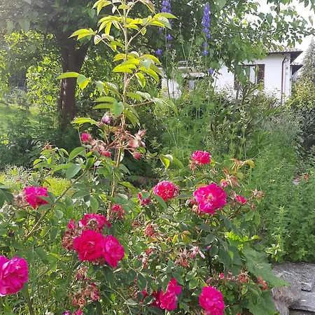 Bed & Breakfast Al Mutpron Casale Corte Cerro