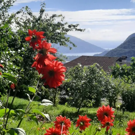 Bed & Breakfast Al Mutpron Casale Corte Cerro