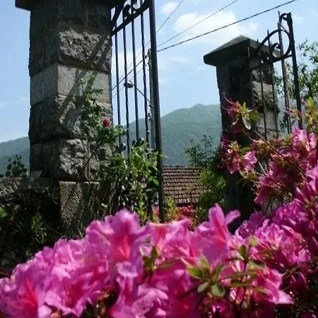 Al Mutpron Frühstückspension