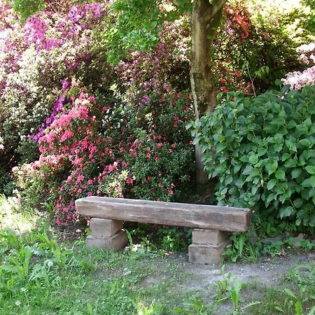 Al Mutpron 3* Casale Corte Cerro