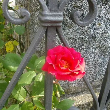 Al Mutpron Bed & Breakfast Casale Corte Cerro