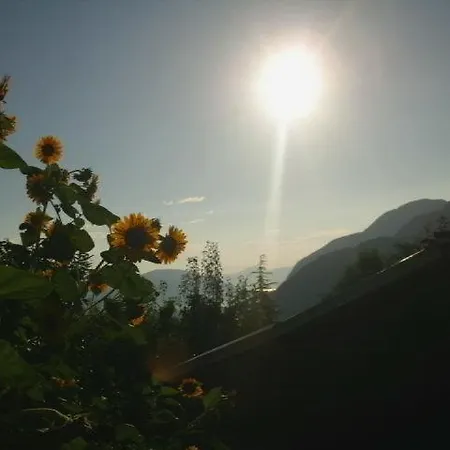 Al Mutpron Frühstückspension