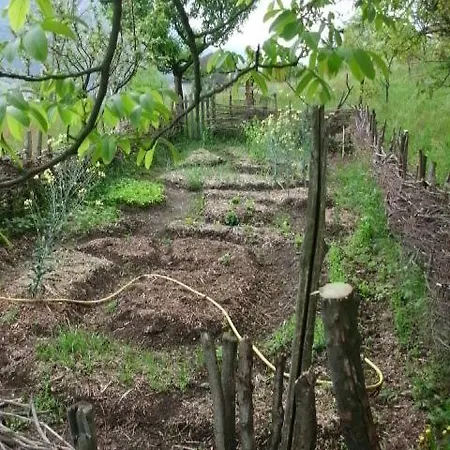 Al Mutpron Casale Corte Cerro