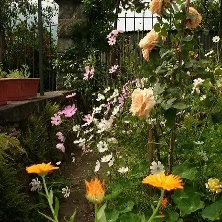 Bed and Breakfast Al Mutpron