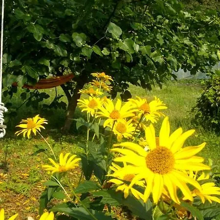 Bed & Breakfast Al Mutpron 3*