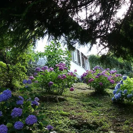 Al Mutpron Bed & Breakfast Casale Corte Cerro