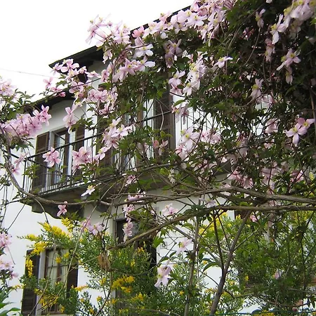 Al Mutpron Bed & Breakfast Casale Corte Cerro