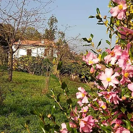 Bed & Breakfast Al Mutpron