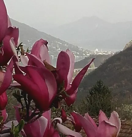 Al Mutpron 3*