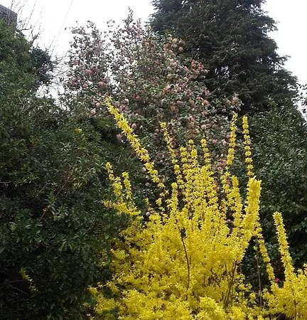 Frühstückspension Al Mutpron 3*