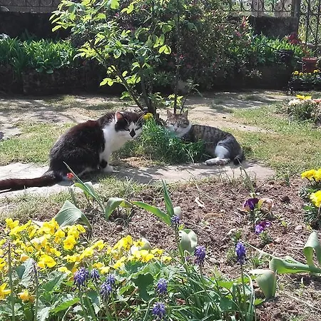 Al Mutpron Frühstückspension Casale Corte Cerro