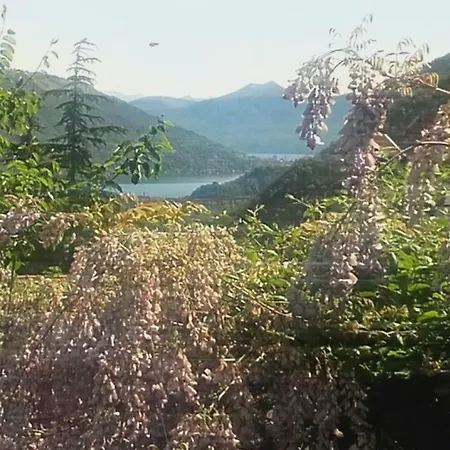 Al Mutpron Casale Corte Cerro