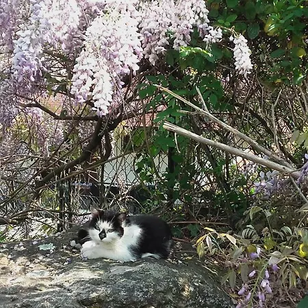 Al Mutpron 3* Casale Corte Cerro