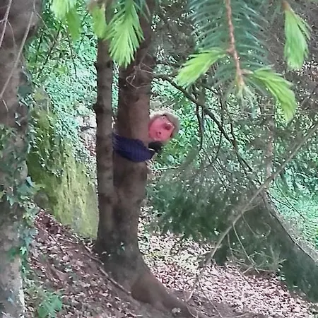 Al Mutpron Frühstückspension Casale Corte Cerro