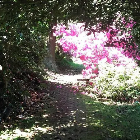 Al Mutpron Casale Corte Cerro