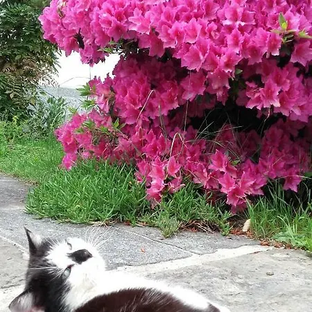 Frühstückspension Al Mutpron 3*