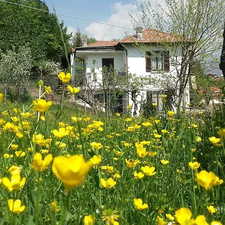 Al Mutpron Bed & Breakfast 3*