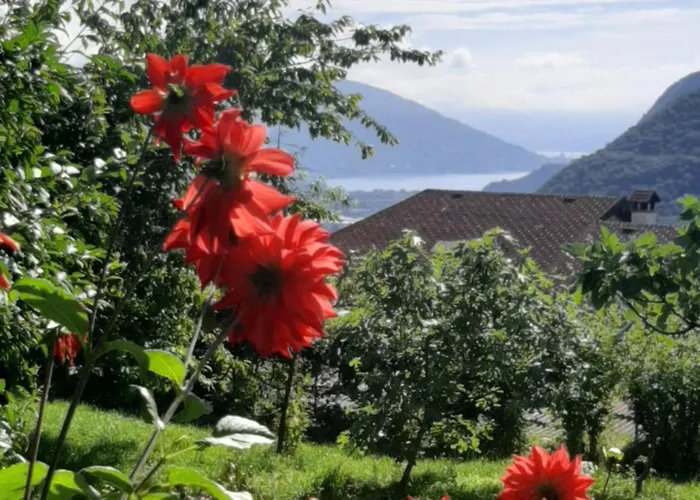 Oda ve Kahvaltı Al Mutpron Casale Corte Cerro