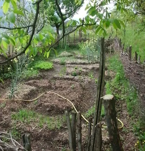 Al Mutpron Casale Corte Cerro