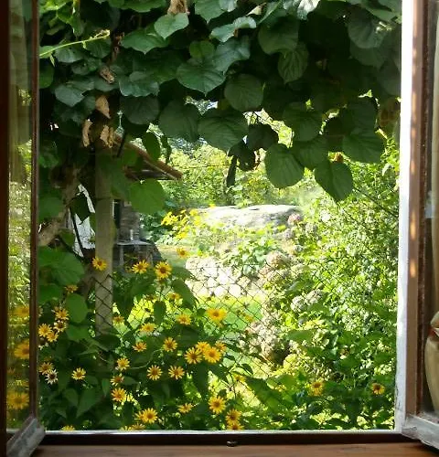 Bed and breakfast Al Mutpron Casale Corte Cerro
