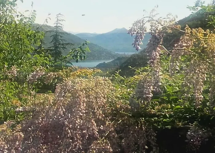 Al Mutpron Casale Corte Cerro