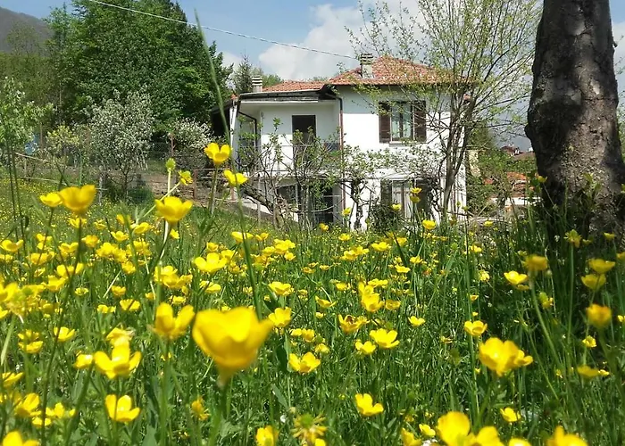 Al Mutpron Oda ve Kahvaltı 3*